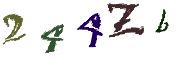 Kép CAPTCHA