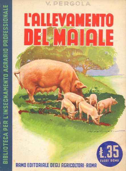 Pergola: L'allevamento del maiale