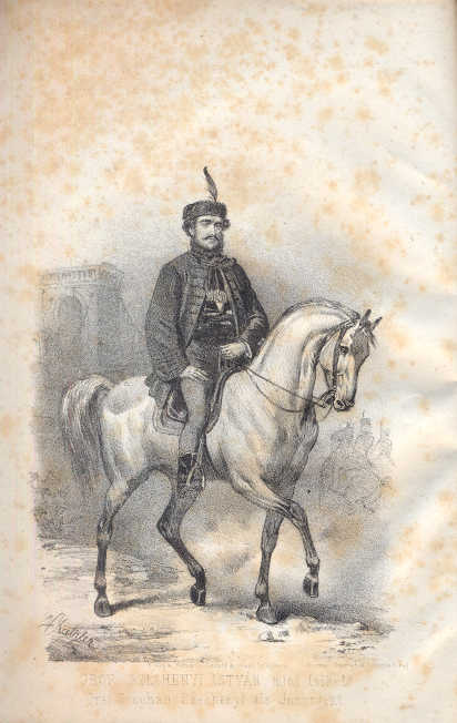 Kostányi: Széchenyi