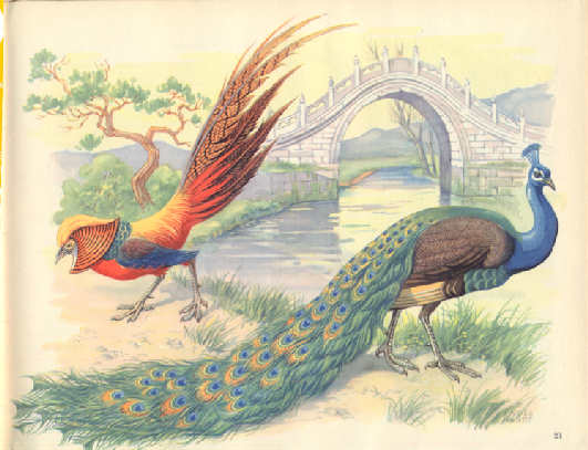 A természet csodái