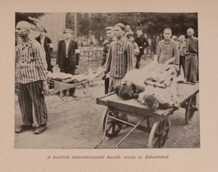 Rónai: Örök szégyen