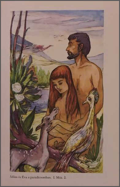 Biblia magyarázatokkal és képekkel