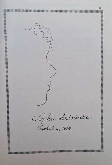 Kazinczy Ferenc: Árnyékok