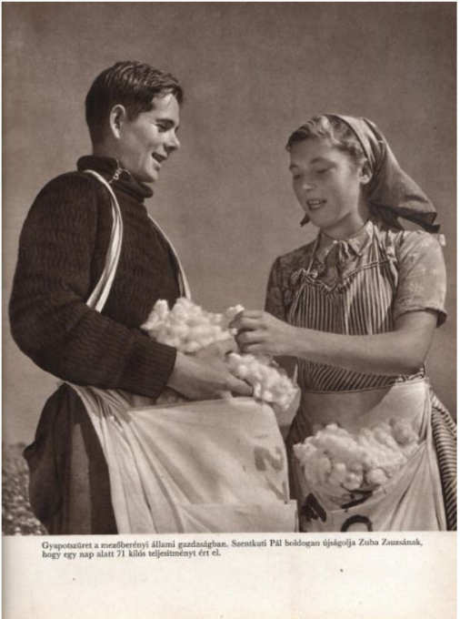 Épül szocialista hazánk