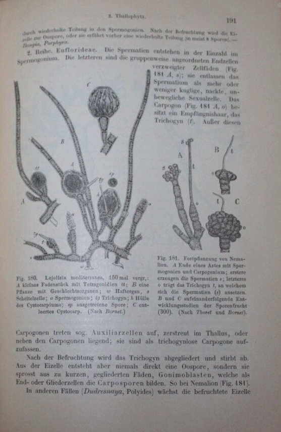 Prantl's Lehrbuch Der Botanik