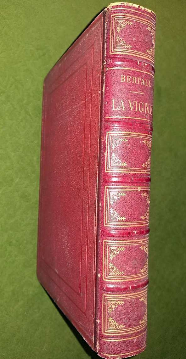 Bertall: La vigne