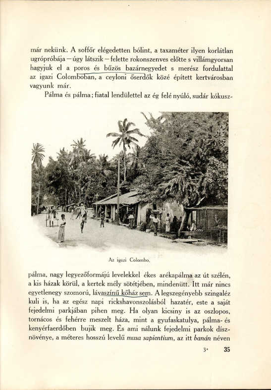 Napsütéses Indiában