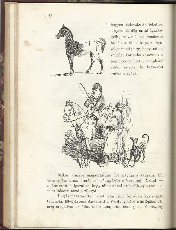 Mokány Berci naptára 1876