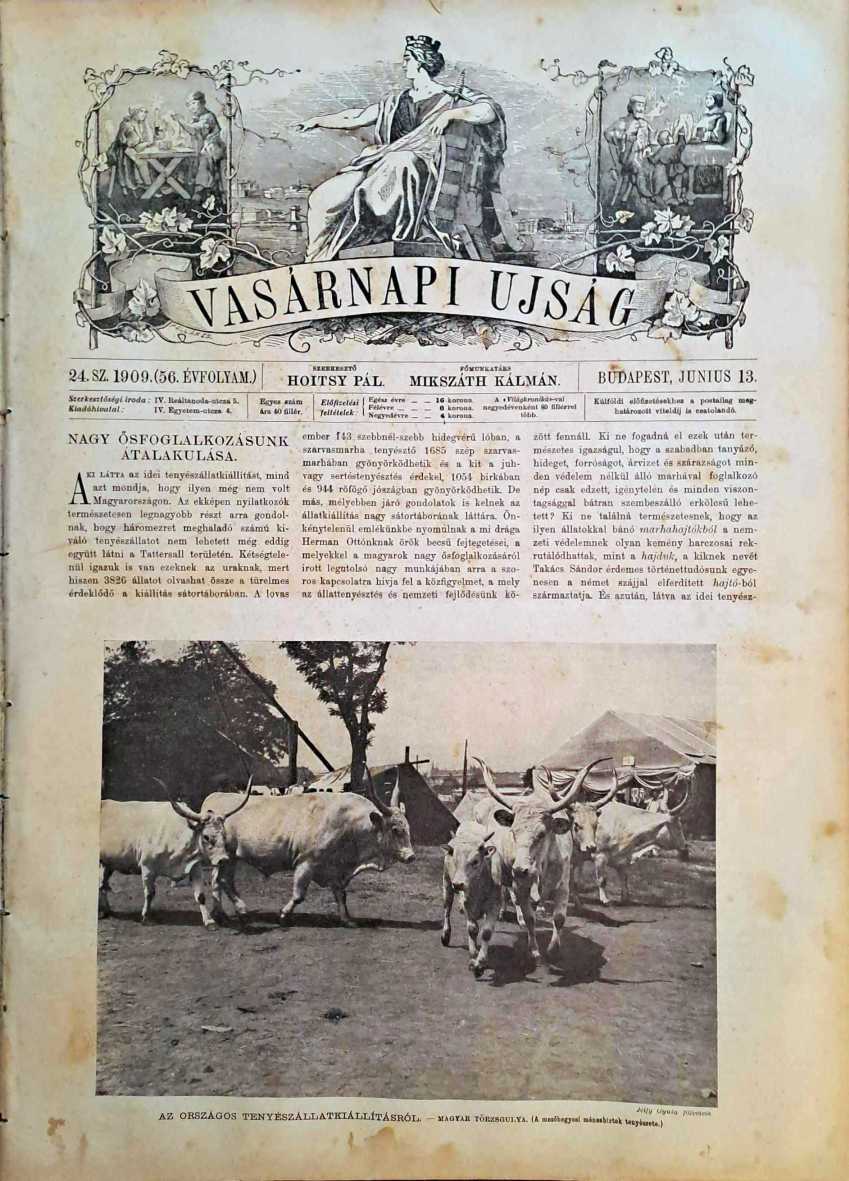Vasárnapi Ujság 1909