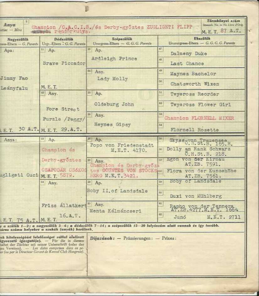 Kutya Származási lap 1934