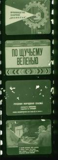  Po scsucsemu velenju