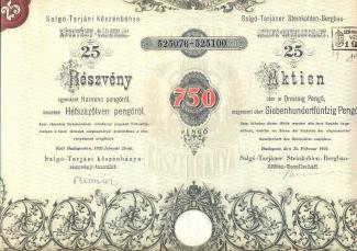 Salgó-Tarjáni Kőszénbánya 25 részvény