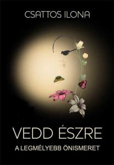 Csattos Ilona: Vedd észre