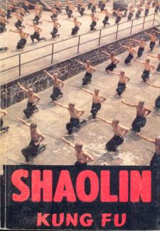 A Shaolin kung-fu