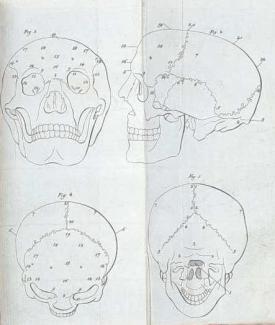 Galls Darstellung