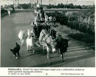 Mátészalka 1963