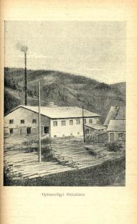 A gyimesvölgyi parasztok felkelése (1934)