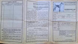 Kutya Származási lap 1934